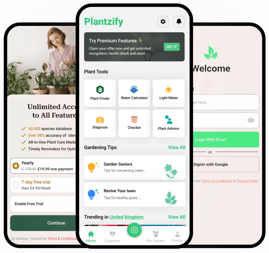Deep Tattoo AI concepts