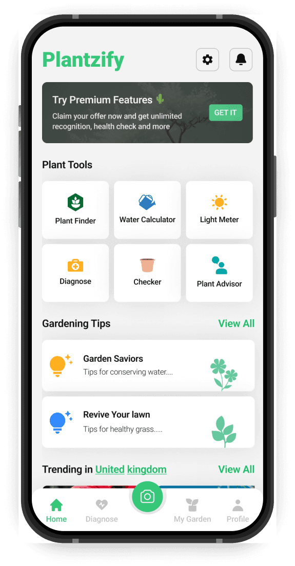 Plantzify App on Mobile Phone